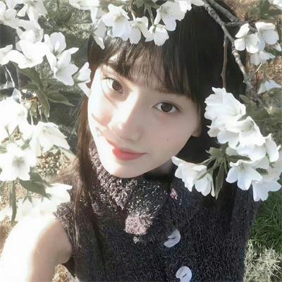 间谍亚契第八季