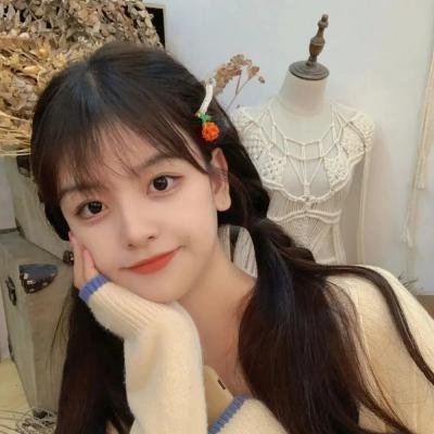 艾伦·杜卡斯的追逐