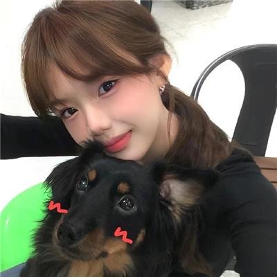 应召男郎第二季